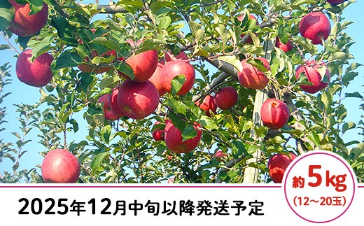 
            J0526長野市産サンふじ（家庭用）5kg【2025年12月中旬以降発送予定】（矢島農園）
          