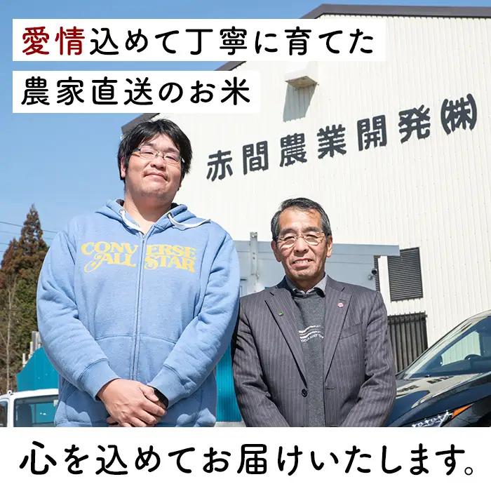 ＜先行予約受付中！R8年9月上旬から順次発送予定＞五百川 1kg お米 おこめ 米 コメ 白米 早場米 極早生品種 ご飯 ごはん おにぎり お弁当【赤間農業開発株式会社】ta716