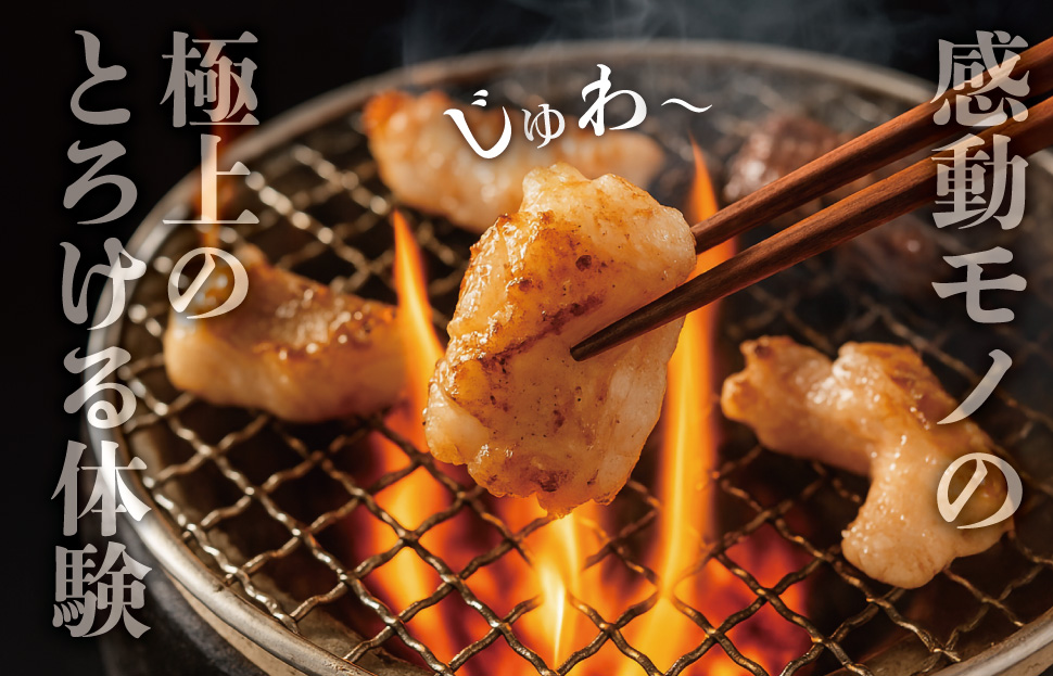 松阪牛 焼肉 【 松阪牛 ホルモン付 】 厳選部位 味比べ セット 900g 肉 牛 牛肉 和牛 ブランド牛 高級 国産 霜降り 冷凍 ふるさと 人気 焼肉用 BBQ バーベキュー 厳選 食べ比べ セット ラム モモ バラ肉 赤身 ロース L3