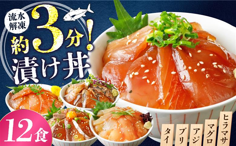 漬け丼 3種×4パック 計12食セット | 漬け丼 海鮮 惣菜 冷凍 真空パック 小分け 海鮮丼 海鮮セット 詰め合わせ 旬の鮮魚 ハマチ カンパチ カツオ 鯖 サバ ヒラマサ 平政 マグロ アジ ヒ