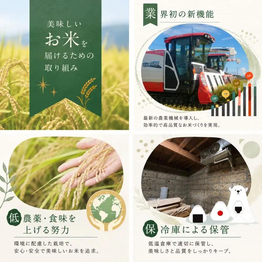 令和7年産 真岡市産 とちぎの星（お試しサイズ） 米 3合×2袋 | お米 送料無料