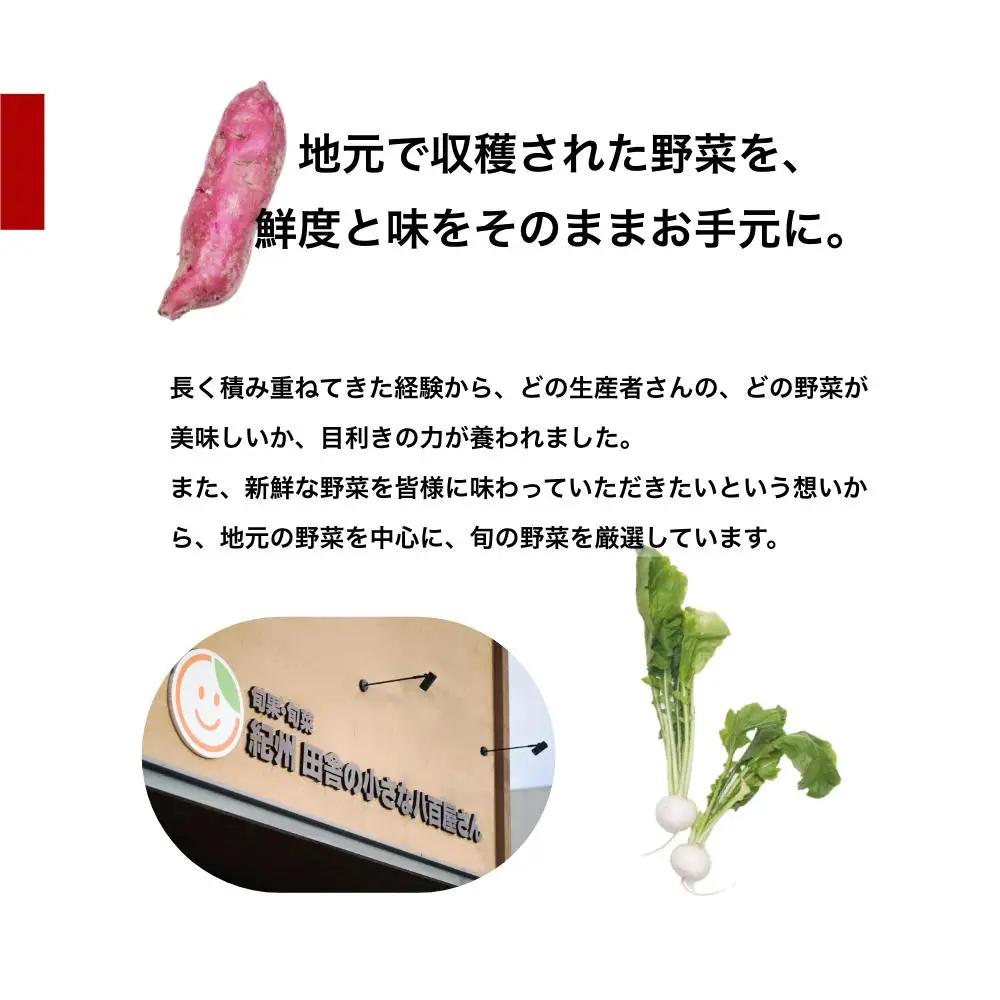 野菜セット 旬の新鮮野菜8種以上 印南町 人気 やさい　