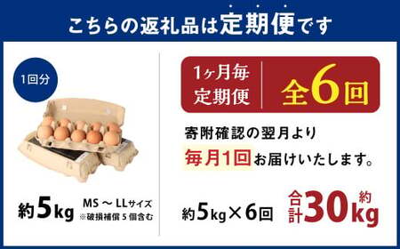 【6ヶ月定期便】 大分県 九重町産 平飼いニワトリの池田卵 ミックスサイズ MS～LLサイズ 計約30kg（約5kg×6回） 卵 たまご 玉子 鶏卵 生卵