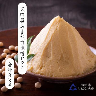 ふるさと納税 御坊市 天田屋・やまだの白味噌セット3kg