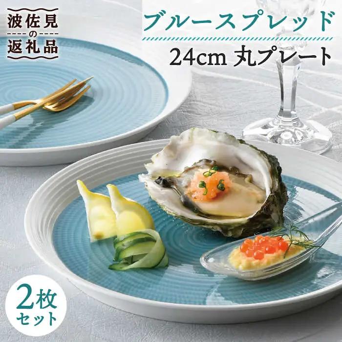 【波佐見焼】ブルースプレッド 24cm 丸皿 プレート 2枚セット 食器 皿 【一真窯】 [BB46] 波佐見焼 食器