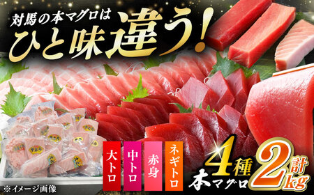 対馬産 本マグロ 4種 計2kg（赤身/中トロ/大トロ/ネギトロ）[WAH027] まぐろ トロ 中とろ