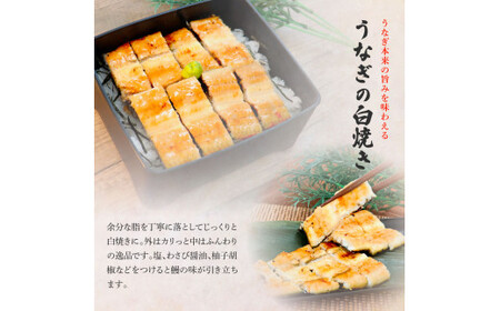 うなぎの白焼き(大) 4尾×3回 定期便 3ヶ月 定期コース タレ付き 山椒付き