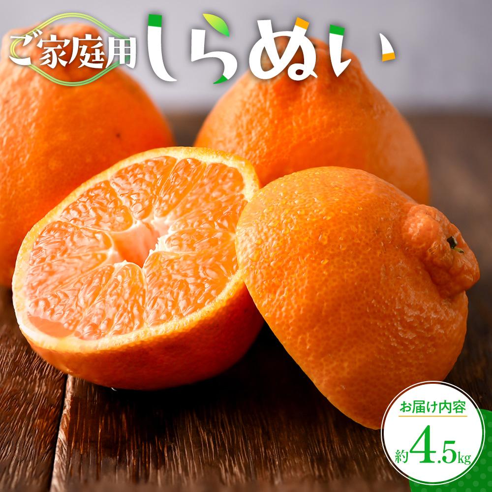 【ふるさと納税】ご家庭用　しらぬい　約4.5kg【2027年2月下旬～2027年4月上旬配送】 | 不知火 自宅用 香川県 高松市 果実 蜜柑 みかん ミカン 果物 フルーツ デザート 柑橘 丸ごと 薄皮 定番品種