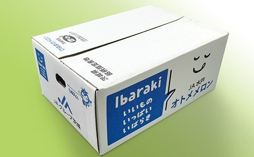 082-3茨城県産イバラキング【秀品】約5kg（3~5玉）