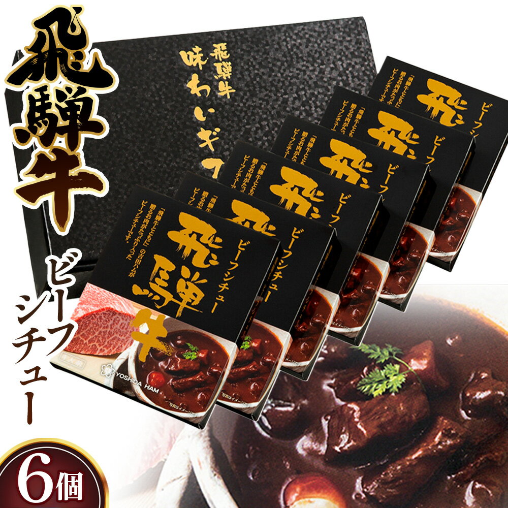 【ふるさと納税】飛騨牛ビーフシチュー　6個入セット ／ 飛騨牛 牛 肉 レトルト ビーフシチュー シチュー 贅沢 手軽 温めるだけ デミグラスソース フルーツペースト まろやかさ 送料無料 愛知県 No.148