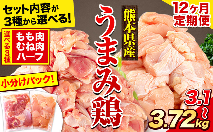 
            【12ヶ月定期便】鶏肉 選べる もも肉 or むね肉 うまみ鶏 大容量 小分け 鶏もも肉 鶏むね肉 もも モモ むね ムネ 冷凍 定期便 若どり 個包装 熊本県産《お申込み月の翌月から出荷開始》
          