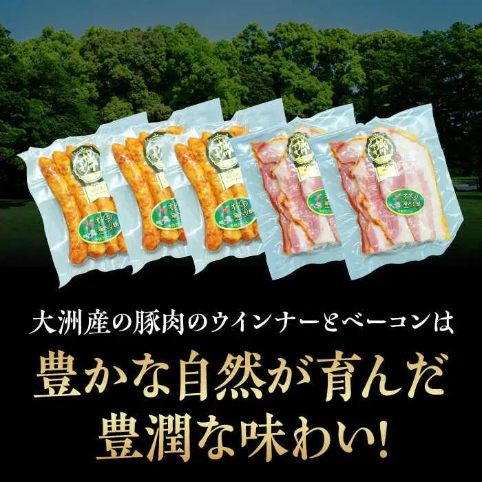 ベーコン【全12回定期便】ウィンナーセット（小） ベーコン[AGAZ084]