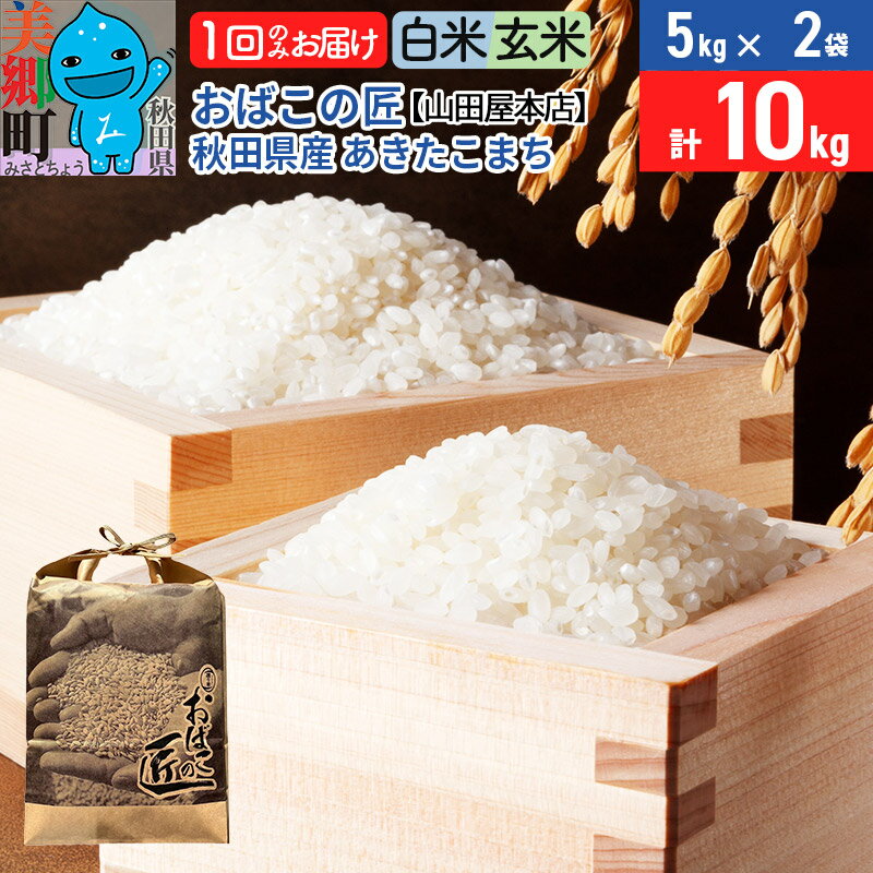 【ふるさと納税】令和6年産 おばこの匠 秋田県産あきたこまち 10kg（5kg×2袋）【白米／玄米 選べる】秋田こまち お米
