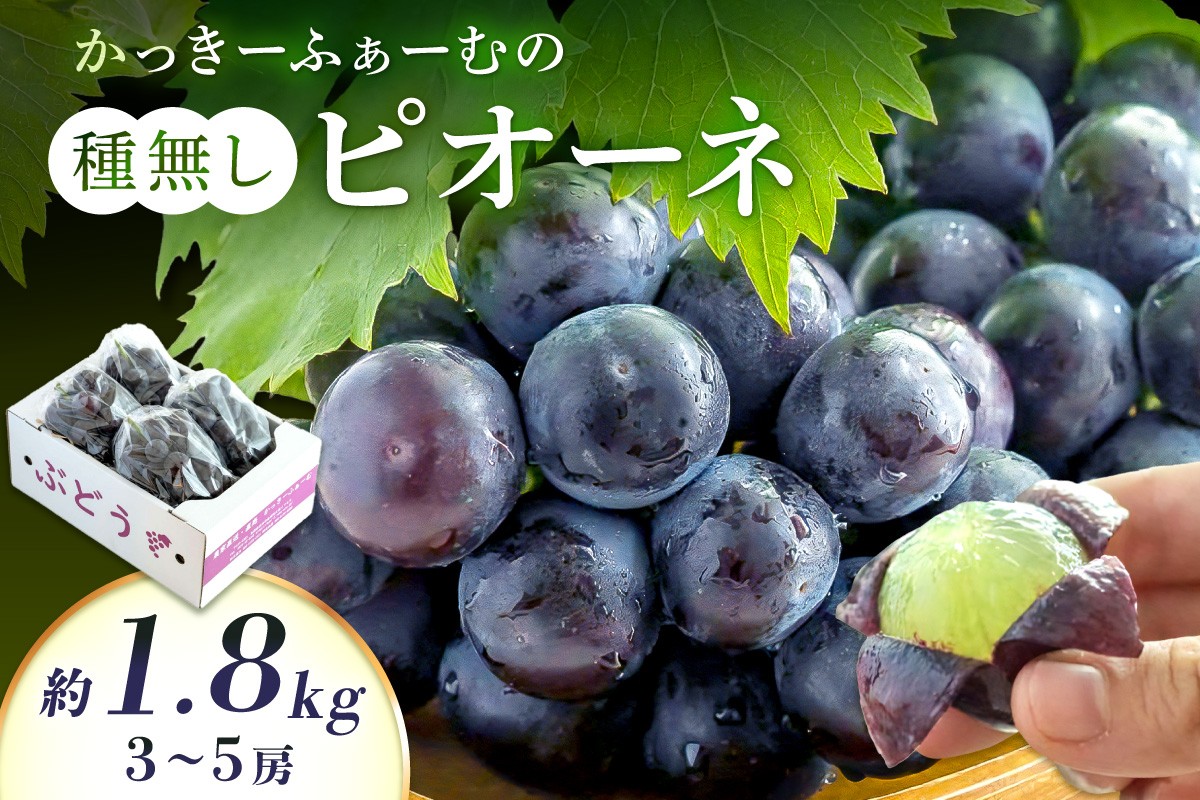 
                  【2026年発送分 先行予約】種無しピオーネ 約1.8kg 3～5房《8月下旬頃から発送》 果物 ピオーネ ぶどう 先行予約 【183_1884】
                