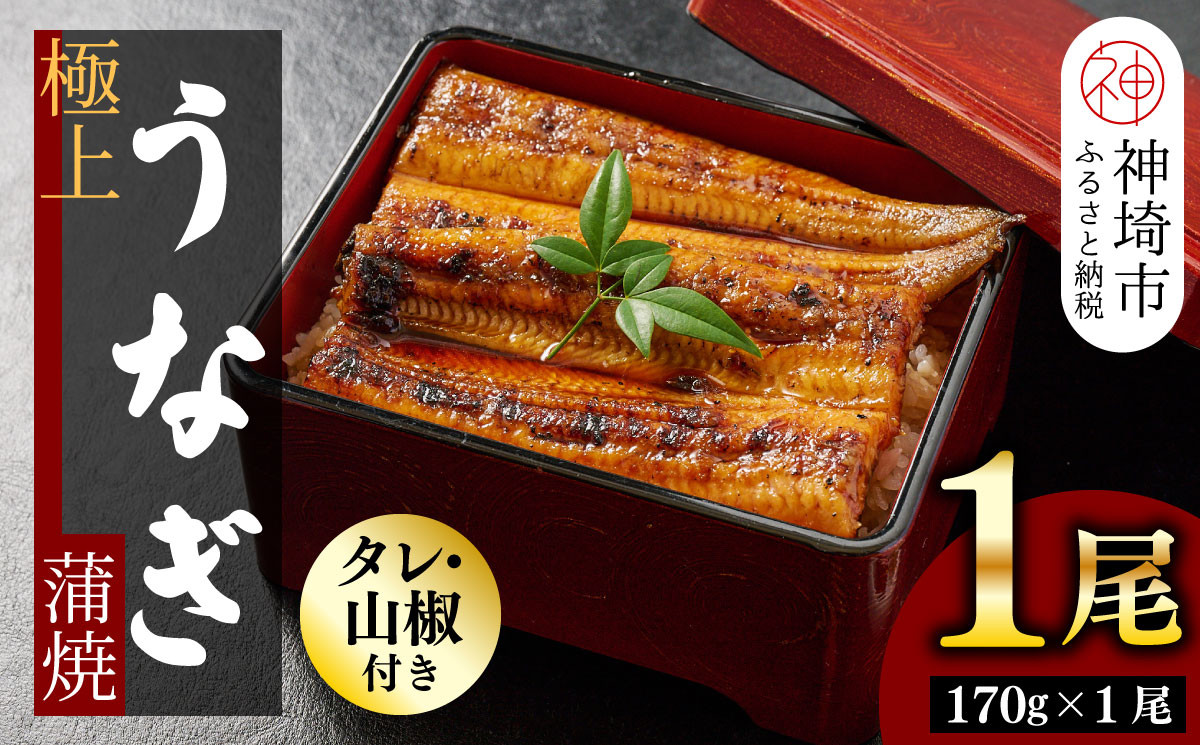 
【職人手焼き】国産特大うなぎ蒲焼1尾（約170g前後） 【国産 特大 うなぎ 鰻 ウナギ ふっくら 柔らか 鰻重 きざみ鰻 うなぎのせいろ蒸 タレ付 弁当】(H097112)
