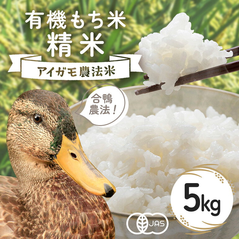 【ふるさと納税】 【令和8年産】有機もち米 精米5kg お米 米 白米 もち米 ご飯 ごはん 国産米 産地直送 茨城県 石岡市 B03-005