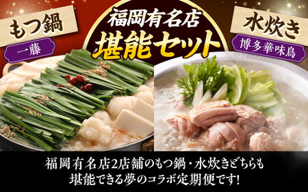 【全2回定期便】 【一藤】 もつ鍋味噌味 4〜6人前 × 博多華味鳥 水炊き 6〜8人前 [ABZY019]