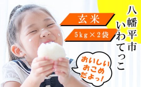 【2024年11月発送開始】 令和6年産 新米 岩手県産 いわてっこ 玄米 10kg （5kg×2袋） ／ 米 産地直送 農家直送 【中沢農産】