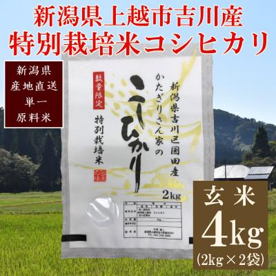 ふるさと納税 上越市 ★数量限定★令和8年産・新潟県上越市吉川区国田産・特別栽培米コシヒカリ玄米4kg