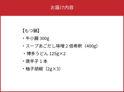 博多味処いろは　博多もつ鍋（2～3人前）_KI1003