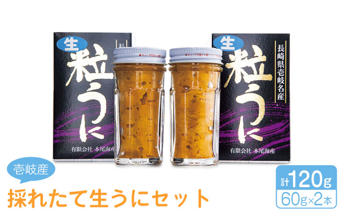 採れたて生うにセット 計120g 《壱岐市》【本尾海産】[JAR003] 22000 22000円 2万円