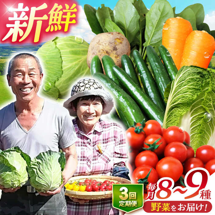 【ふるさと納税】【全3回定期便】諫早産野菜の詰め合わせ 8〜9品目程度 / 季節 旬 野菜 やさい 春野菜 夏野菜 秋野菜 野菜セット 詰め合わせ 野菜定期 野菜定期便 定期便 / 諫早市 / 肥前グローカル株式会社 [AHDI001]
