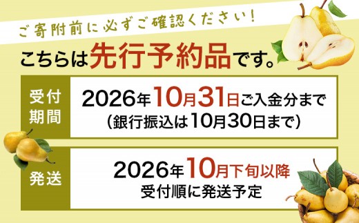 【先行予約】★数量限定★西洋梨 ゼネラル・レクラーク 約3kg (5～7玉)