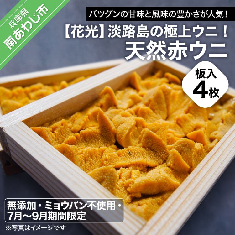 【ふるさと納税】【無添加・ミョウバン不使用・7月末～9月初旬発送予定】淡路島の極上ウニ！天然赤ウニ（板入4枚）