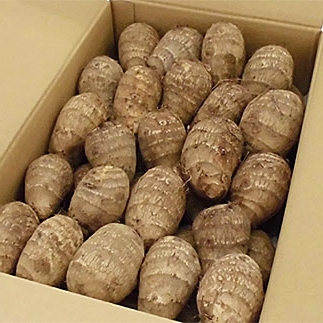 山形市の伝統野菜 村木沢の「悪戸芋」ねっとり食感里芋 2kg FZ25-947