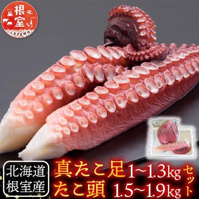 ふるさと納税 根室市 【北海道根室産】真たこ足1〜1.3kg・たこ頭1.5〜1.9kg F-19002