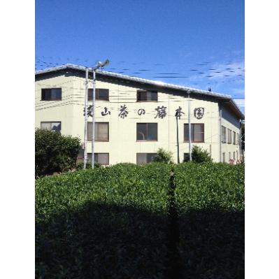 ふるさと納税 瑞穂町 「一番茶葉」200g×5本　計1Kg |  | 02