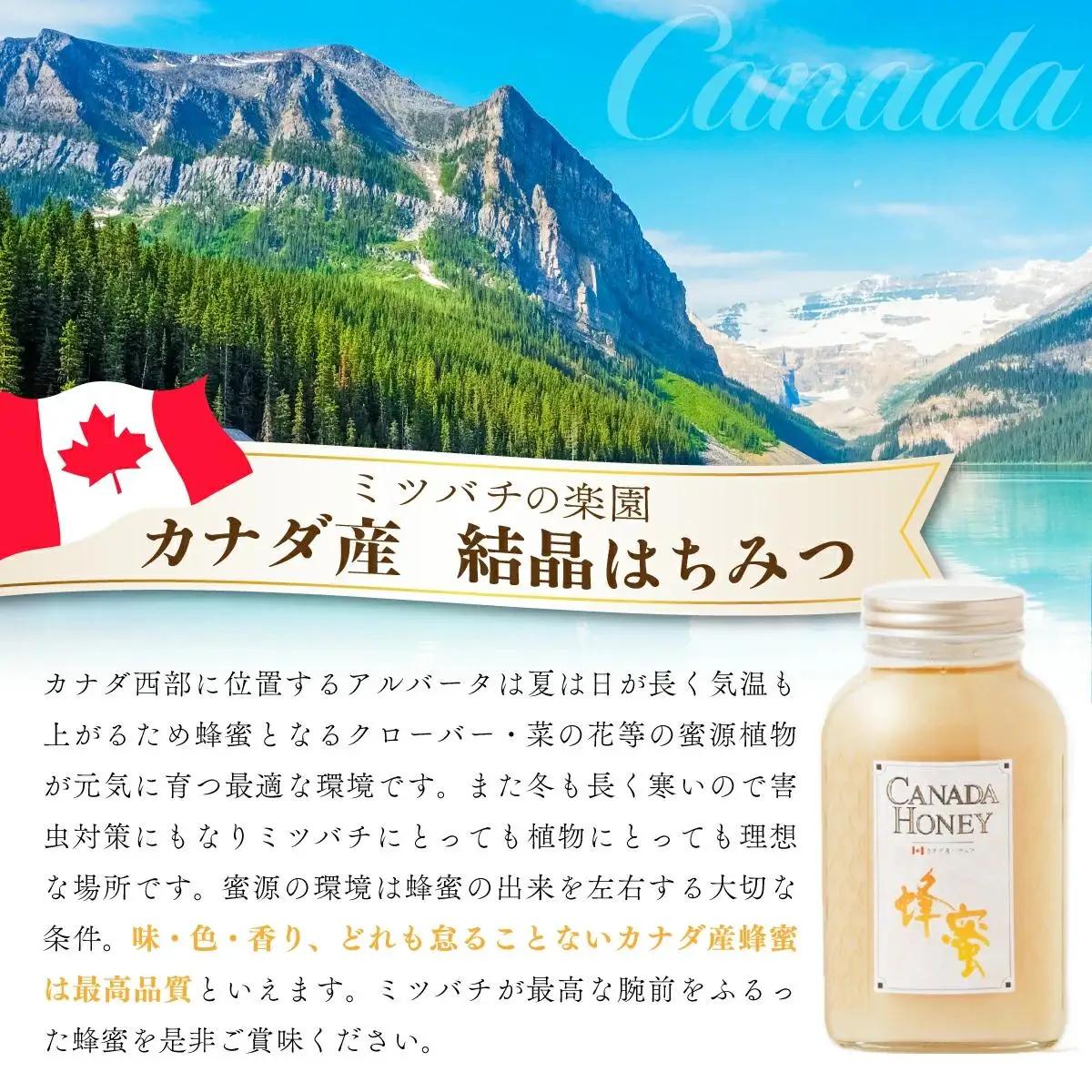 はちみつ ハンガリー産｢アカシア蜂蜜｣・カナダ産「結晶蜂蜜」 800g×2本 はちみつ