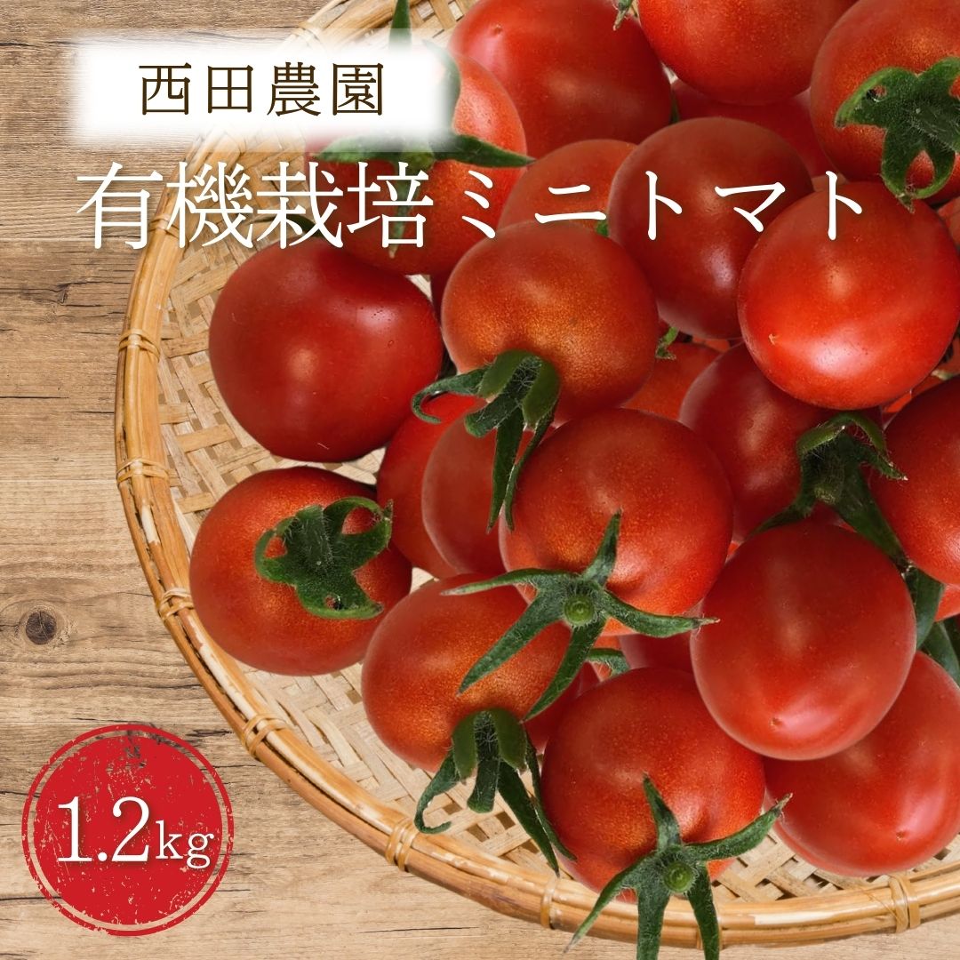 【ふるさと納税】【先行予約】有機栽培 ミニトマト 1.2kg (200g×6パック) 順次配送 (西田農園) オーガニック プチトマト 野菜 サラダ 石川県 小松市 北陸 011076