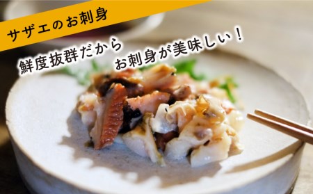 サザエ 1kg 冷凍 下関 サザエ EY