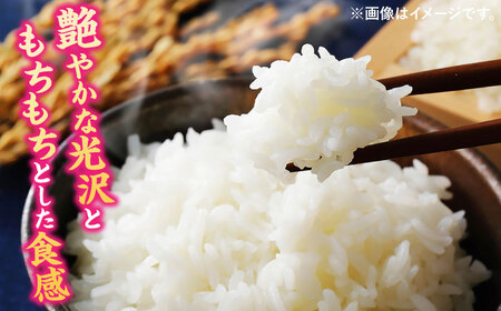 福岡県桂川町産夢つくし　白米5kg  [ADBB006] 米 精米 福岡