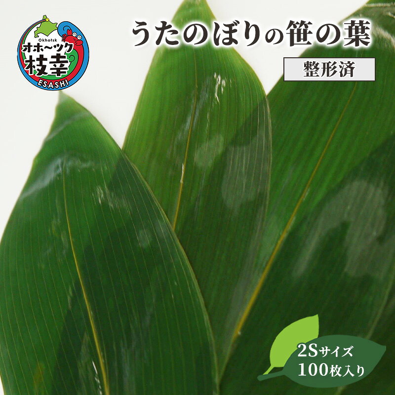 【ふるさと納税】［整形済］うたのぼりの笹の葉2Sサイズ100枚入り【オホーツク枝幸】19.5cm×6cm雑貨 日用品 福祉用品
