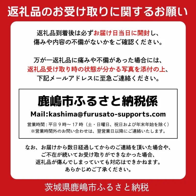 多肉植物 アガベ オロエンシス 園芸 ガーデニング 多肉植物