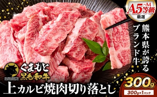 A4-A5等級 黒毛和牛 切り落とし 上 カルビ 焼肉 切り落とし 300g《30日以内に出荷予定(土日祝除く)》くまもと黒毛和牛 熊本県 苓北町 上カルビ 焼肉用 黒毛和牛 焼肉 肉 お肉 和牛 A5 A4 小分け
