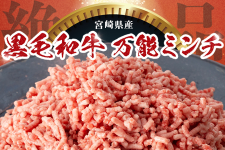 宮崎県産 黒毛和牛 万能ミンチ 約1.1kg（550g×2P）冷凍｜国産牛 牛肉 お肉 ひき肉 ミンチ パック ハンバーグ コロッケ ミートソース 三色丼 家庭用 有田牧畜産業 宮崎県 諸塚村 AR-