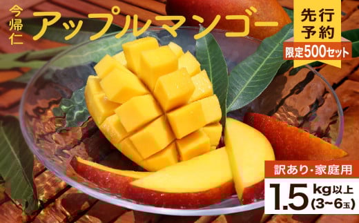 【訳あり・家庭用】限定500セット　今帰仁アップルマンゴー1.5kg(白箱）【生産者応援】【2025年6月中旬～8月上旬頃発送】