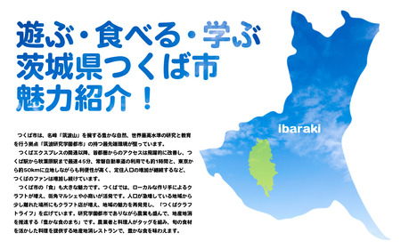 常陸牛A4・A5規格　薄切り落し肉 500g＜離島・沖縄配送不可＞【 牛肉 茨城県牛肉 つくば市牛肉 おすすめ牛肉 ブランド牛肉 】