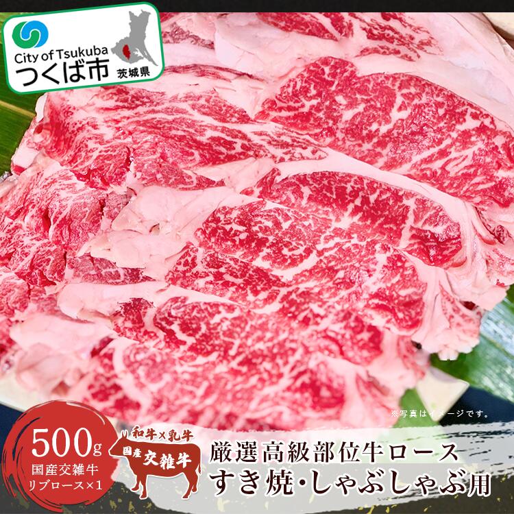 【ふるさと納税】厳選高級部位牛ロース(すき焼き・しゃぶしゃぶ用) 500g | 茨城県 つくば市 国産牛 厳選 高級部位 すき焼き しゃぶしゃぶ リブロース 10000 10000円 赤身肉 霜降り 1115090