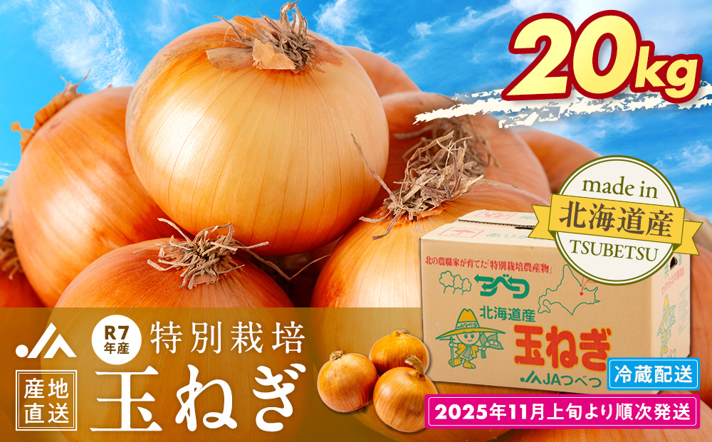 R7年産先行受付 玉ねぎ 20kg 特別栽培 | 玉ねぎ たまねぎ タマネギ 玉葱 大容量 オニオン 甘い 有機栽培 国産 産地直送 カレー ハンバーグ 煮込み 炒め物 北海道 津別町 送料無料