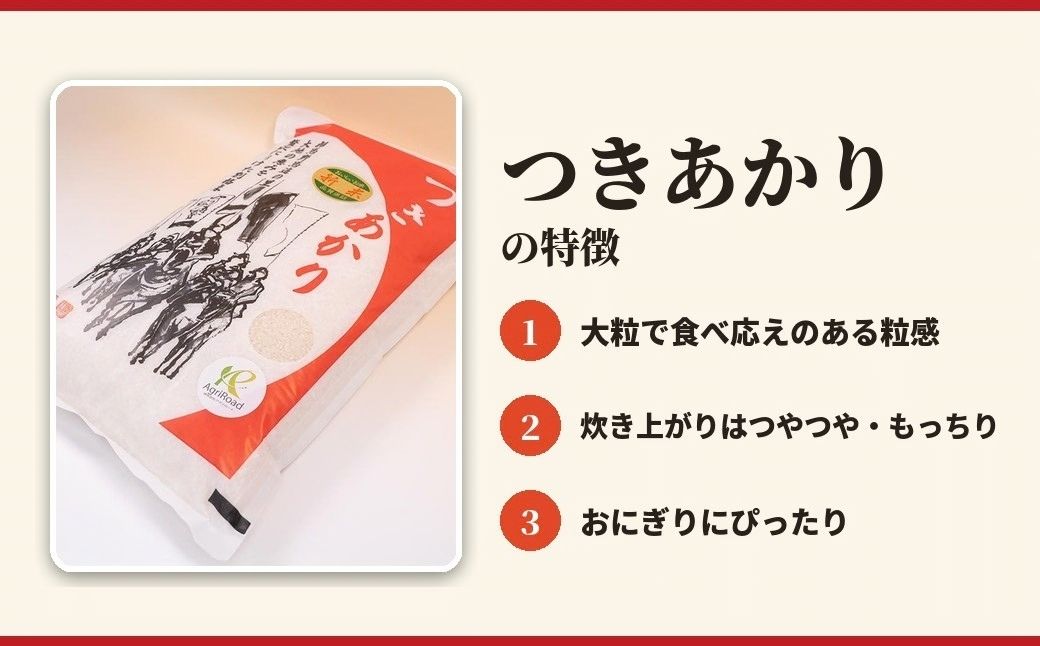 【白米】 令和8年産 アグリロード つきあかり 5kg (5kg × 1) 5キロ 精米 白米 コメ ごはん ブランド米 南相馬 福島 福島県産 お取り寄せ 炊き立て 送料無料 ふるさと納税 オンライ