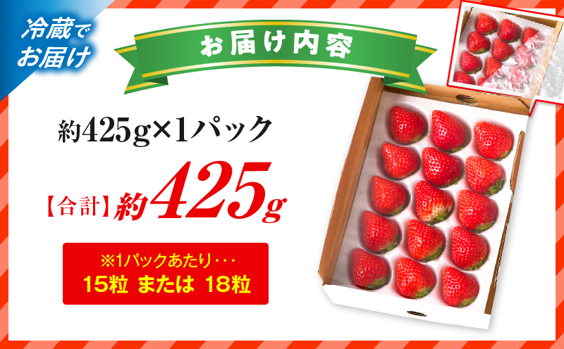 【先行予約】苺音スタンダードハーフ ～春の大粒のさぬきひめいちご～ 約425g | スイーツ いちご イチゴ ストロベリー さぬきひめ さぬき姫 苺 冷蔵 フルーツ 旬 果物 香川県 デザート 青果物 おすすめ |_mk137-008