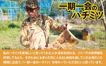 【天然はちみつ】 raw honey あわら蜜 1個 / 非加熱 生産者直送 蜂蜜 ミツバチ 純はちみつ ローヤルゼリー 生はちみつ みつばち [aw101-a001]