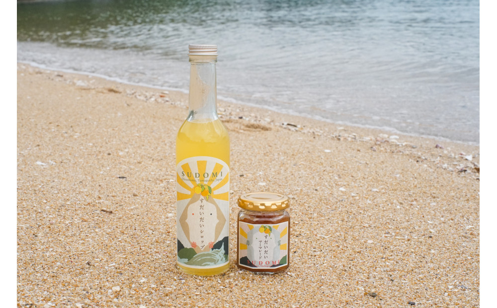 柑橘すだいだいセット2（シロップ2本＆マーマレードジャム1個）　大津島　無添加