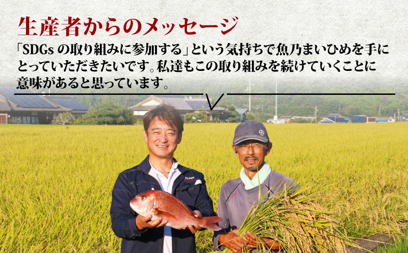 令和7年産 新米予約 コシヒカリ 魚乃まいひめ カルペイン栽培 6kg (3kg×2袋) 精米 秀長水産 新米 令和7年9月中旬以降発送 三間米 お米 米 環境保全 カルペイン 鯛 真鯛 こめ コメ 