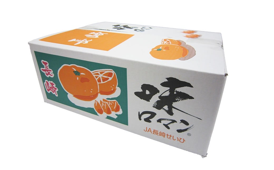 味ロマン みかん 約5kg 糖度12度 【 長崎西彼農業協同組合 】
