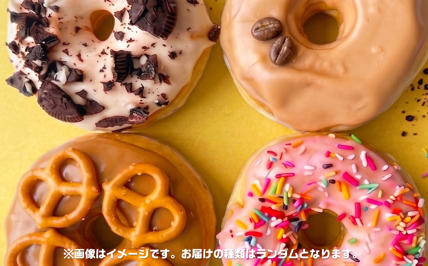 TOPOFF DONUTS ドーナツ詰め合わせ 10点セット【TOPOFF DONUTS】 [AKJB001]